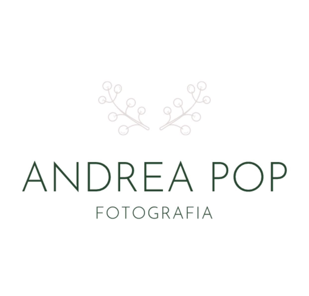 Andrea Pop Fotografia logo